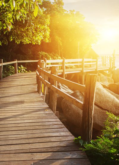 A wooden boardwalk through trees in low golden sunlight