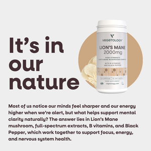 lions mane and acetyl l-carnitine hcl Lion's Mane