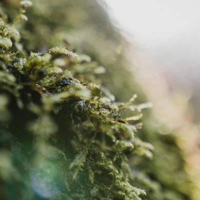 Pexels jack redgate 3657421