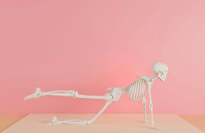 Yoga skeleton