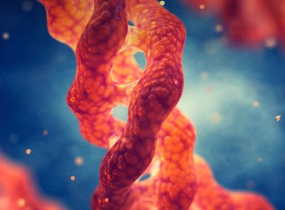 Close-up illustration of a collagen triple helix, the protein Vollagen® helps the body build